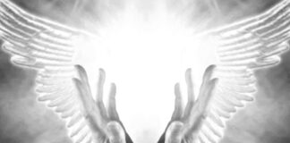 «Орлеанська діва» і пророк з Галичини «Орлеанська діва» і пророк з Галичини