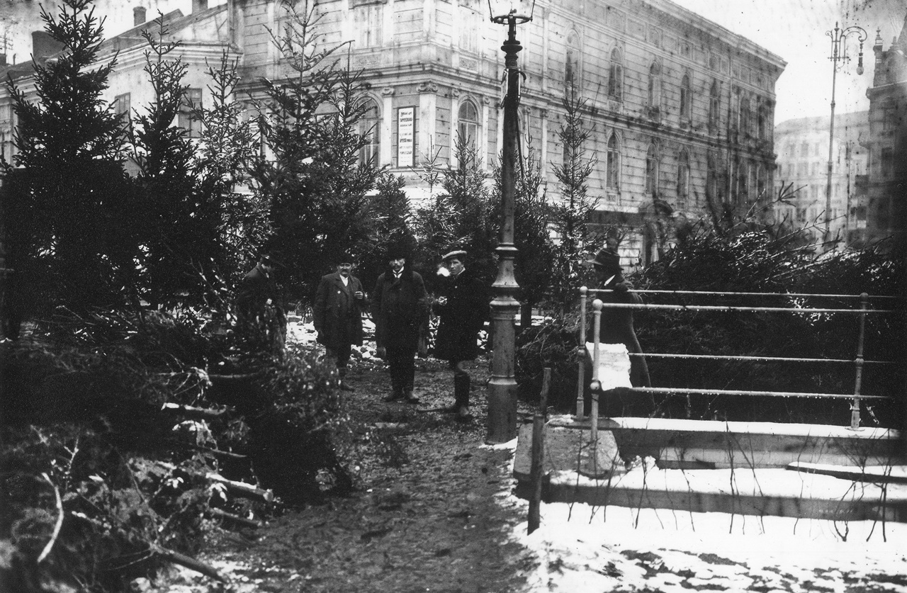 Вулична торгівля ялинками, 1880-1930-ті роки