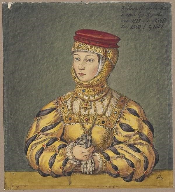 Один з найбільш відомих портретів Барбари Радзівіл намальований у середині XVI ст. невідомим художником зі школи Лукаса Кранаха. Збірка Національного музею у Варшаві