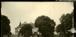 Підгірці, 1916 р.