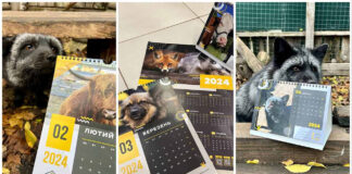 Львів'ян кличуть на презентацію благодійних календарів від Притулку «Домівка врятованих тварин»