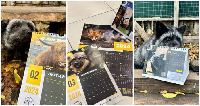 Львів'ян кличуть на презентацію благодійних календарів від Притулку «Домівка врятованих тварин»