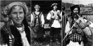 Микола Сеньковський