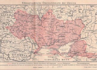 “Чому ми хочемо самостійної України?”. Степан Рудницький - із наукового олімпу на радянську голгофу