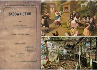 Де були найбільші квіткові теплиці Львова та як вони виглядають сьогодні