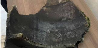 Уламок збитої російської ракети біля Роздолу