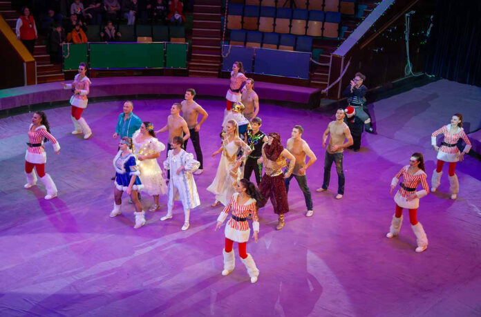 Циркова програма "Новорічний презент"