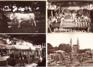 Крайова рільничо-промислова виставка у Львові, 1877 р.