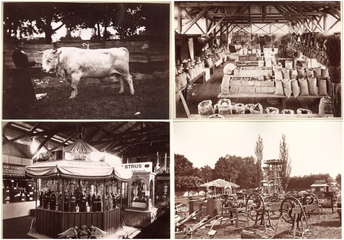 Крайова рільничо-промислова виставка у Львові, 1877 р.