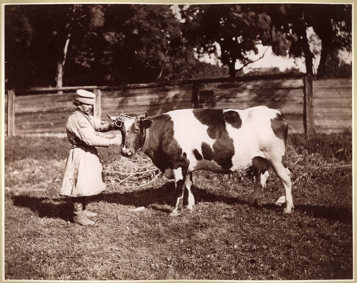 Крайова рільничо-промислова виставка у Львові, 1877 р.