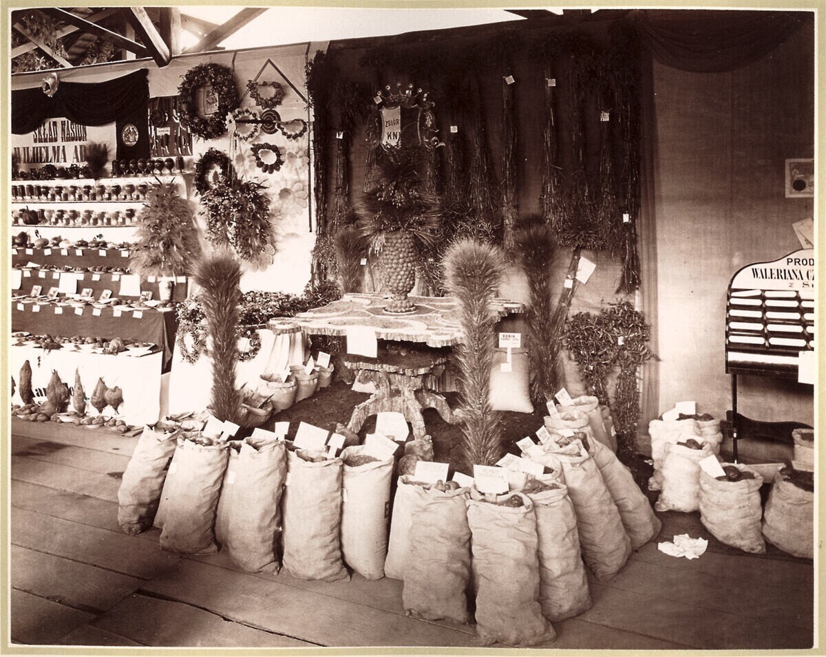 Крайова рільничо-промислова виставка у Львові, 1877 р.