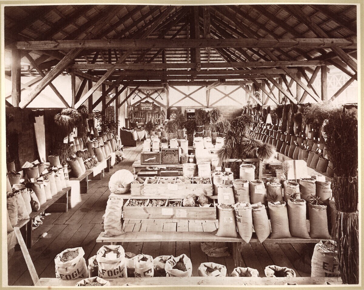 Крайова рільничо-промислова виставка у Львові, 1877 р.