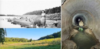 Підземний Сихів та куди зникло найбільше озеро Львова