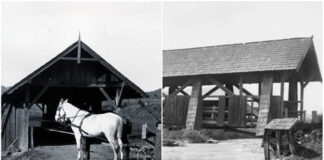 Дерев’яні криті мости - забутий витвір теслярства