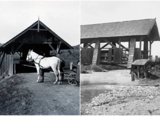 Дерев’яні криті мости - забутий витвір теслярства