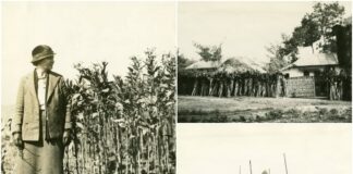 Невідомі кадри із Львівщини та Івано-Франківщини авторства американки