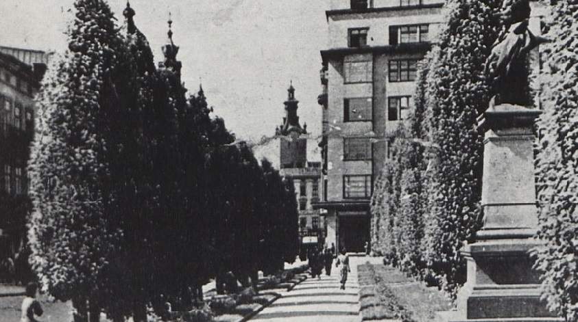 Вулиця Академічна з видом на катедру