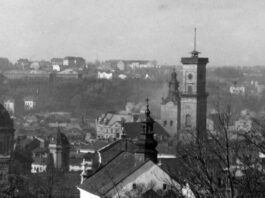 Панорама Львова, 1920-1930-ті рр.