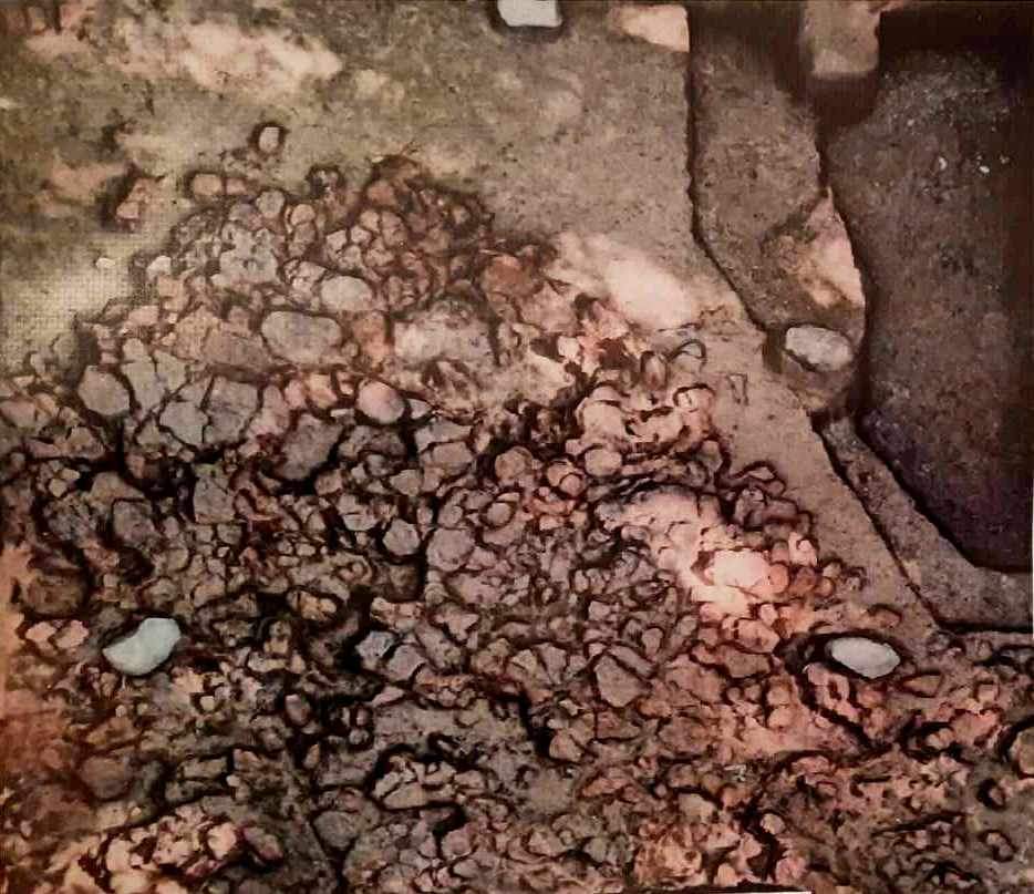 Залишки трипільського житла