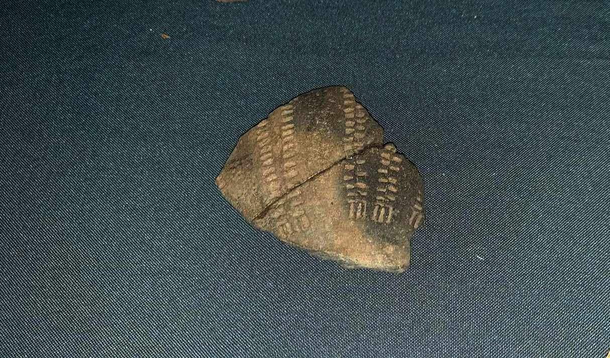 Унікальний орнамент посуду