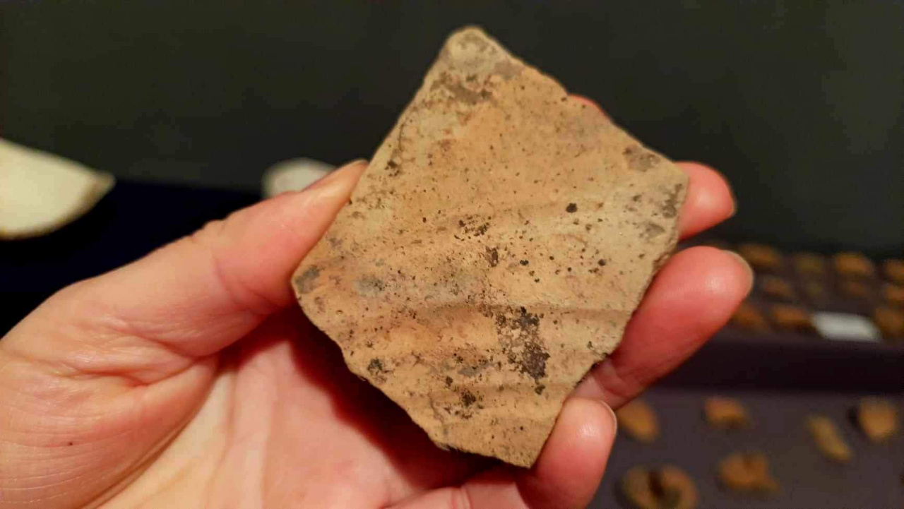 Рідкісний заглиблений орнамент