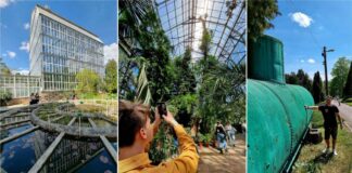 Ботанічний сад у Львові