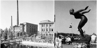 Ставок, який можна було зберегти, та Єва, яку встигли врятувати...