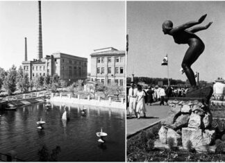 Ставок, який можна було зберегти, та Єва, яку встигли врятувати...