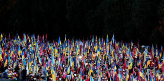 Могили військових на Марсовому полі у Львові