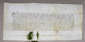 Вино..? А король дозволив? Деякі нюанси торгівлі вином у давньому Львові