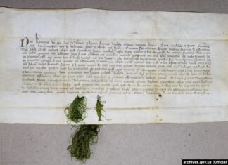 Вино..? А король дозволив? Деякі нюанси торгівлі вином у давньому Львові