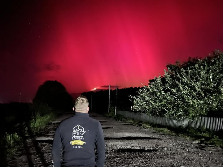 Фото з ФБ сторінки Домівки врятованих тварин