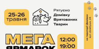 Домівка врятованих тварин у Львові організовує благодійну барахолку