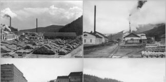 Тартак. с. Демня, Львівщина, 1938 р.