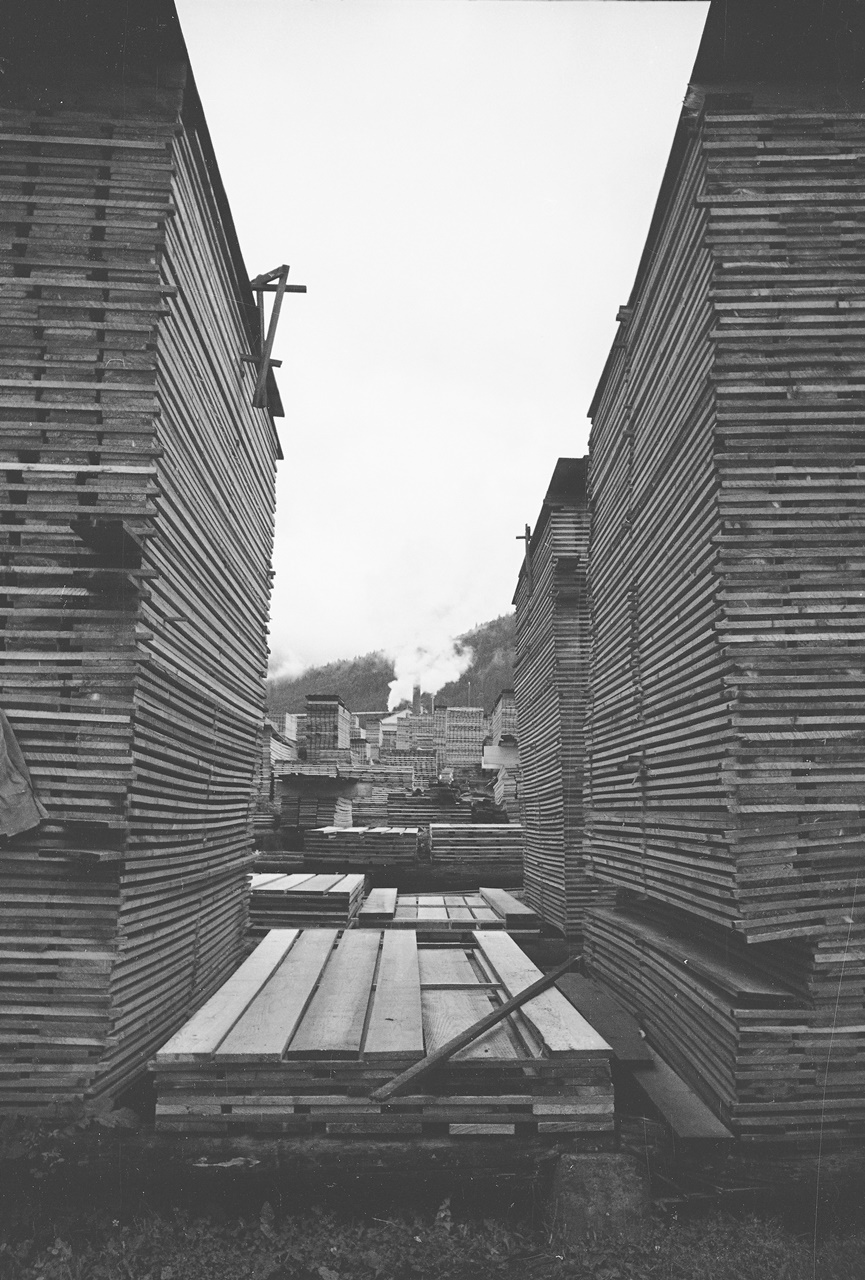 Тартак. с. Демня, Львівщина, 1938 р.