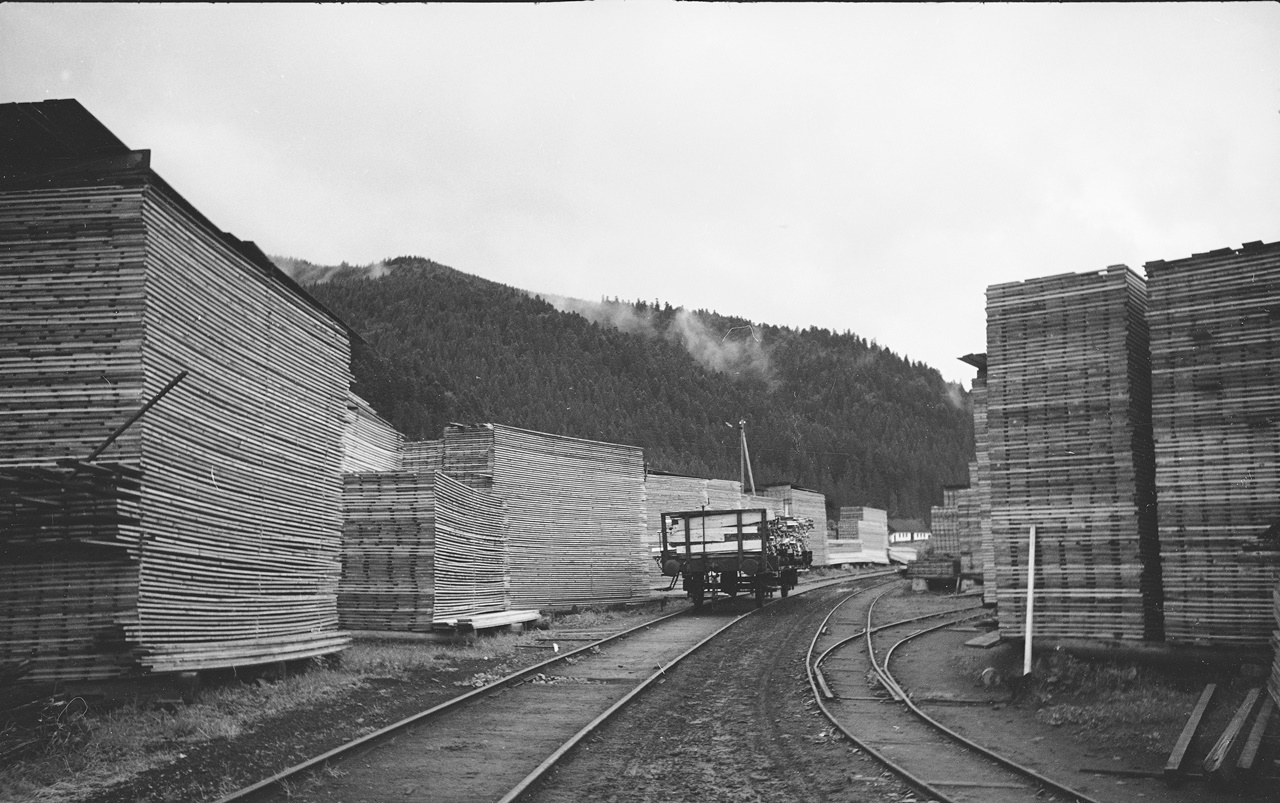 Тартак. с. Демня, Львівщина, 1938 р.