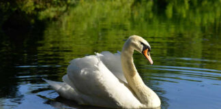 Парк “Джерело” біля Львова