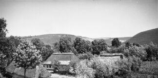 Село Гарасимів на Покутті, 1938 р. Світлив Генрик Поддембський