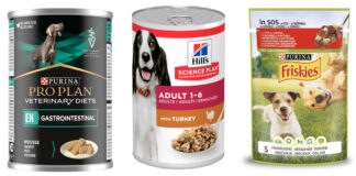 Вологий корм для собак: з чого готують та як готувати ним пса?