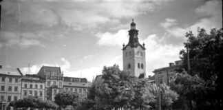 Льві, світлина 1957 року