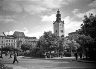 Льві, світлина 1957 року