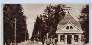 Головна алея в Брюховичах від залізничної станції