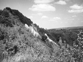 Косів, 1930-і рр.