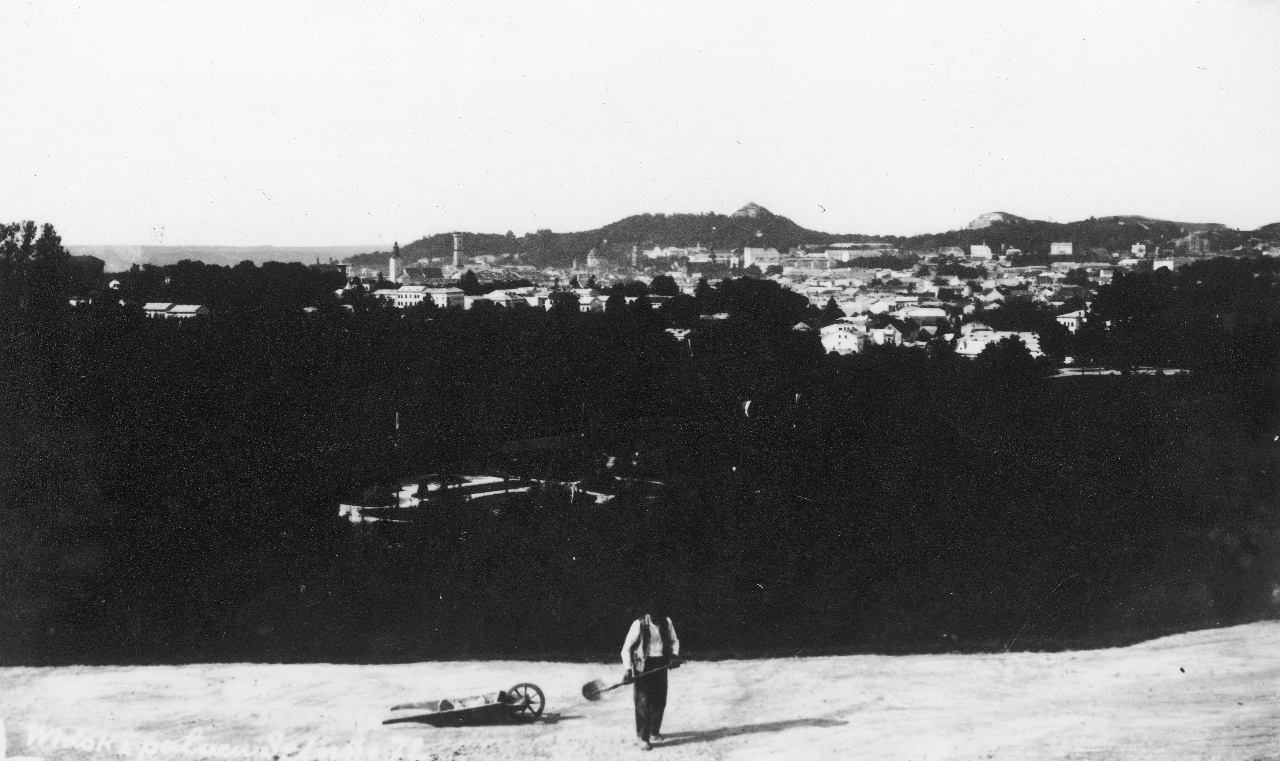 Панорама Львова, поч. ХХ ст.