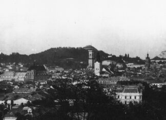 Панорама Львова, поч. ХХ ст.