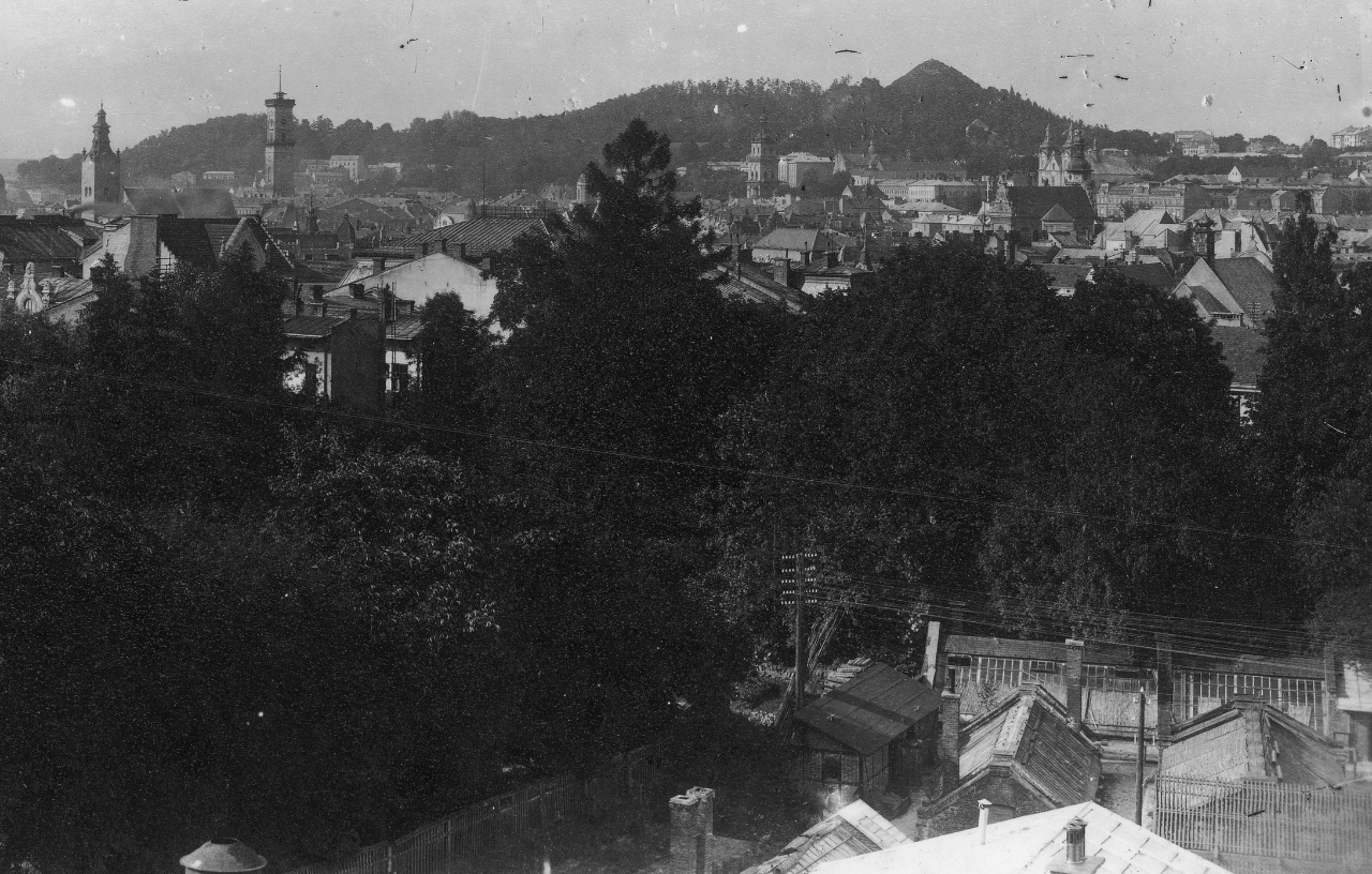 Панорама Львова, поч. ХХ ст.