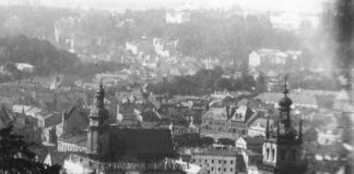 Панорама Львова, поч. ХХ ст.