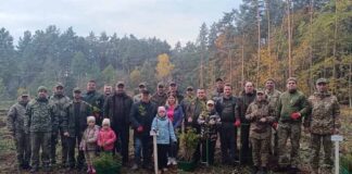 Львівщина долучилася до всеукраїнської акції «1 мільйон дерев пам'яті та життя»: понад 5 тисяч дерев висадили в пам'ять про Захисників України
