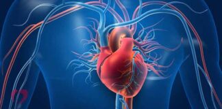 Судинний хірург: хто це і коли потрібна консультація?