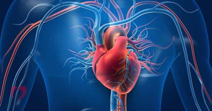 Судинний хірург: хто це і коли потрібна консультація?